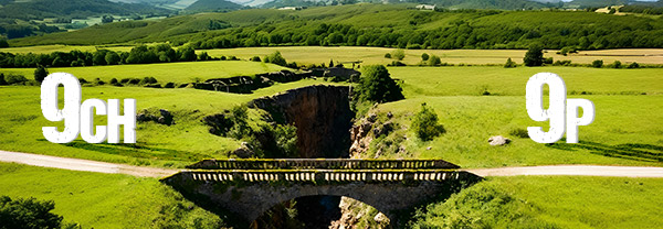 Foramtion preofessetionnelle été 2026 homéopathie et MTC